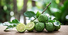 Bergamot