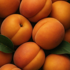 Apricot