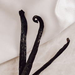 Black Vanilla