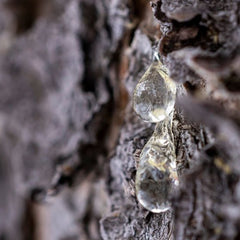Elemi
