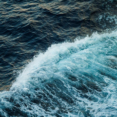 Sea Notes
